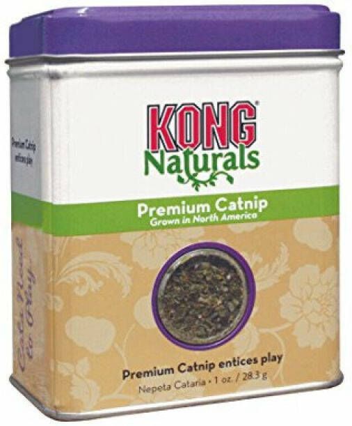 Kong Naturals Catnip Potje Kattenspeeltje 1 stuk