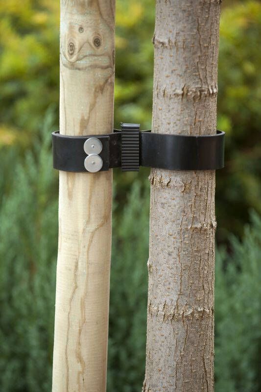 Nature Boomband 90x3.8cm Touw en Bindmaterialen - Foto 2