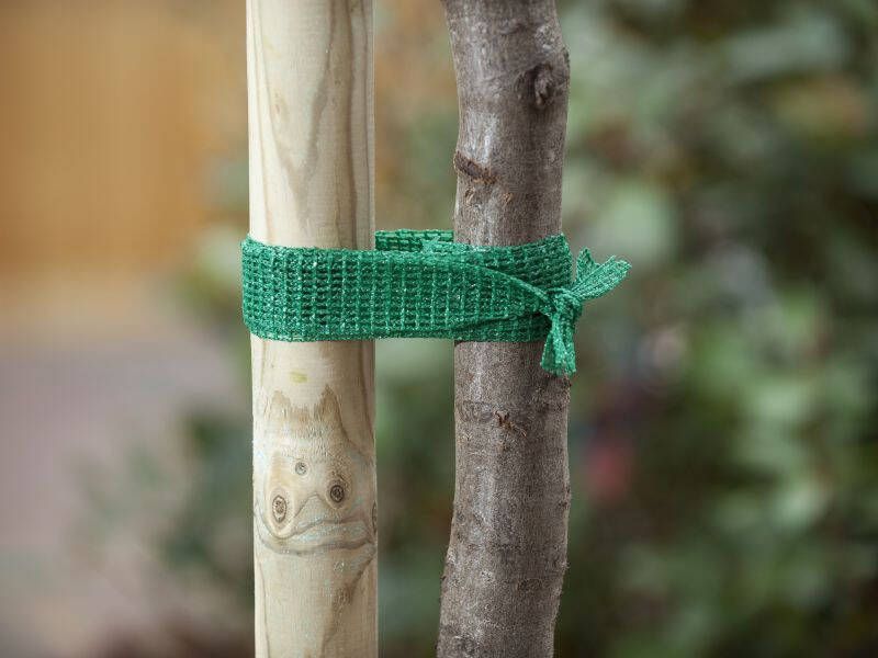 Nature Uniboomband Groen 4cm X 2m