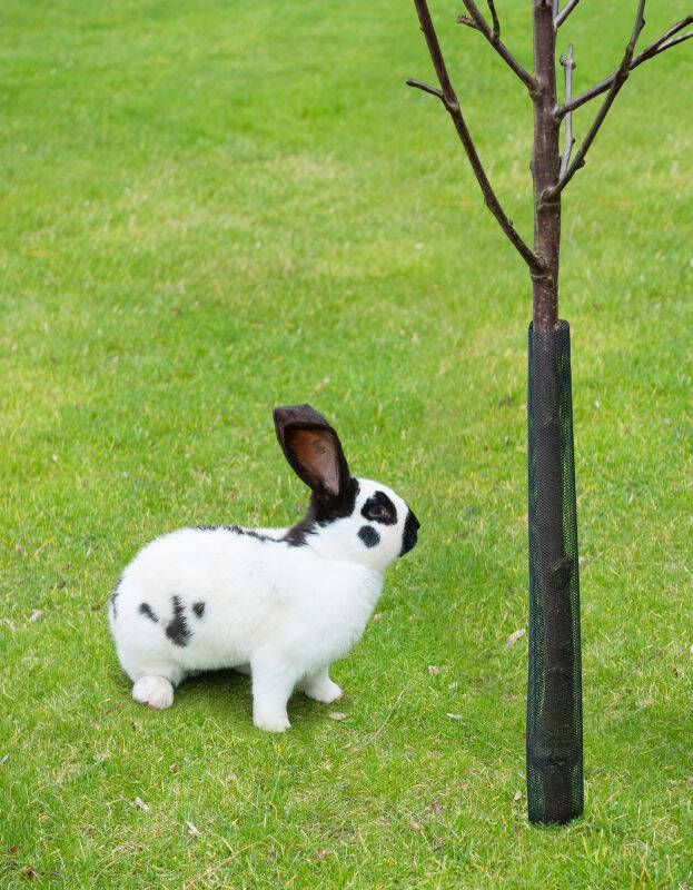 Nature Boombeschermers 4 stuks Plantbescherming