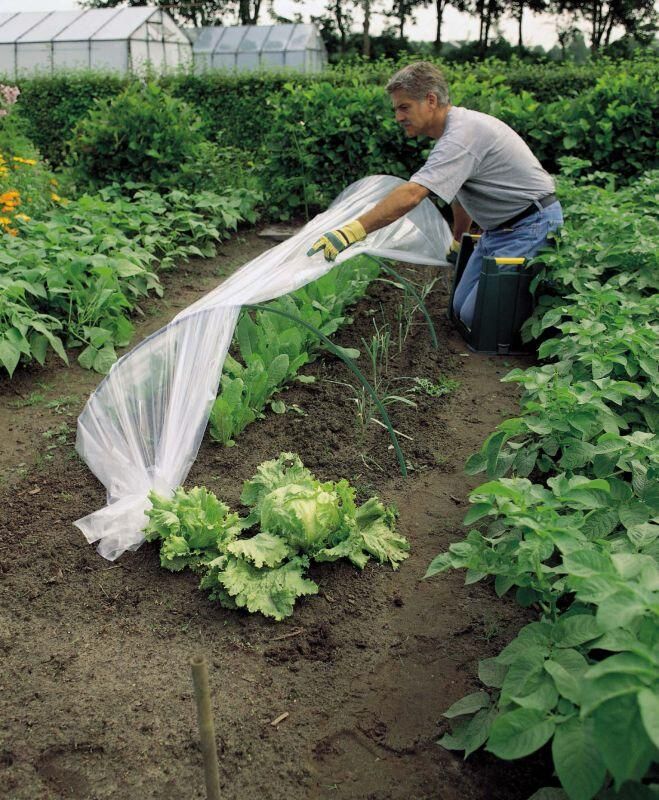 Nature Tunnelboog voor kweekfolie 66 x 103 cm