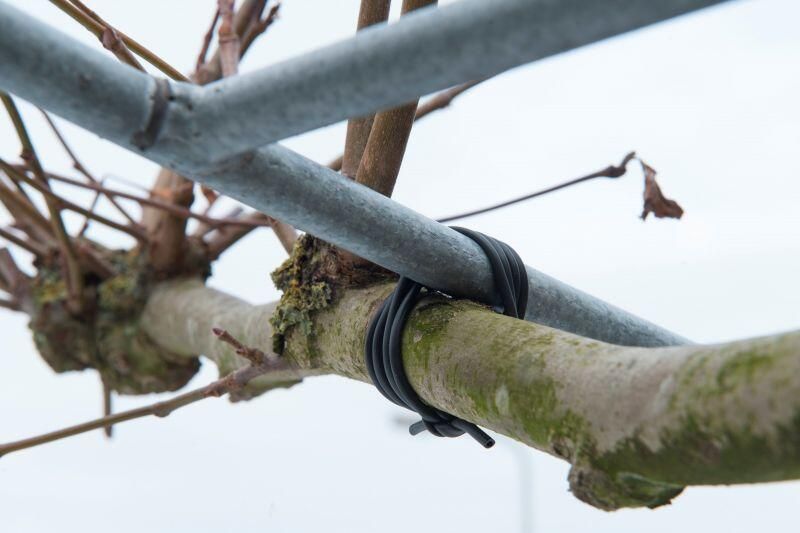 Nature Bindbuis Touw en Bindmaterialen - Foto 2