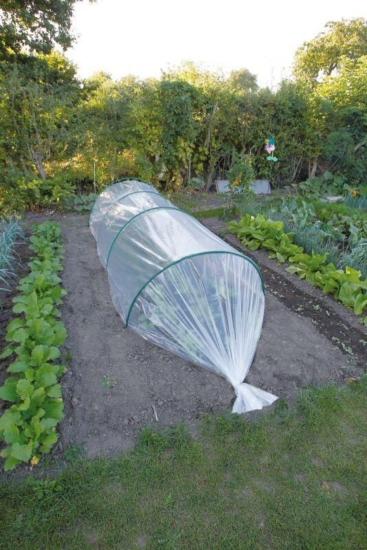 Nature Groeifolie Transparant Plantbescherming 2 x 10 meter - Foto 1