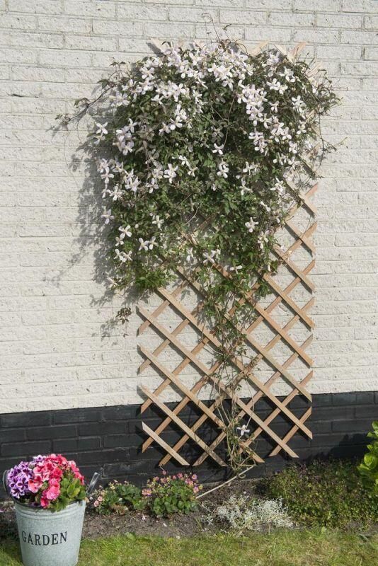 Nature Klimrek Verstelbaar klimrek van hout Eenvoudig te bevestigen