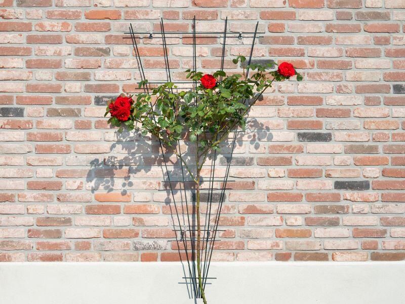 Nature Metalen Klimrek Groen Klim-En Geleide Artikel 0.5x75x145 cm