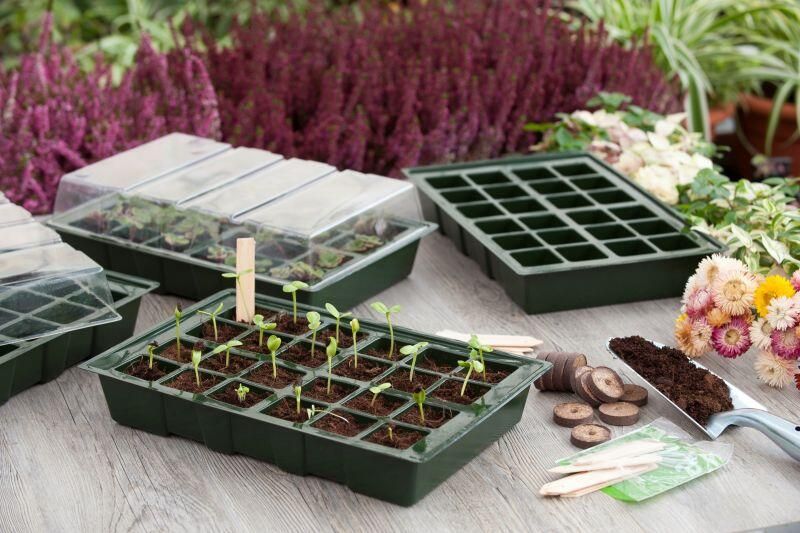Merkloos Sans marque Set van 4x stuks kweekbakjes kweekkasten met deksel 10 x 35 x 23 cm Propagator Moestuinbak Inclusief tray met 18 kweekpotjes - Foto 3