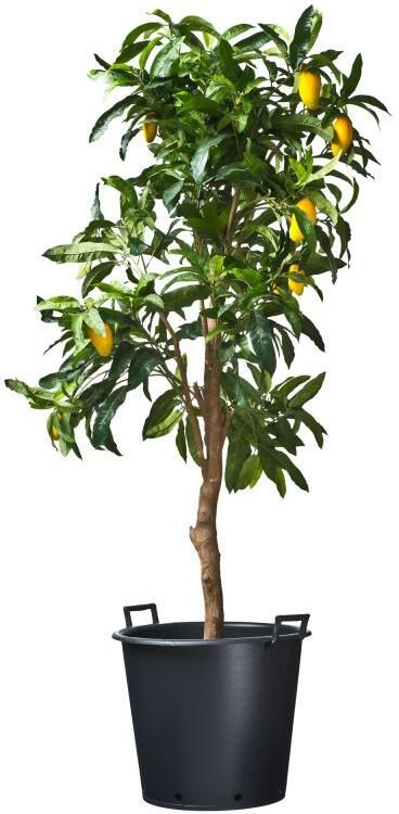 Nature Ritzi planten container met handgrepen H 49 x Ø 65 cm 110 liter