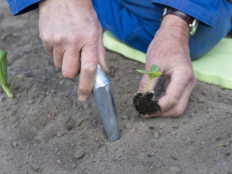 Nature Pootstok Kweekbenodigdheden - Foto 2