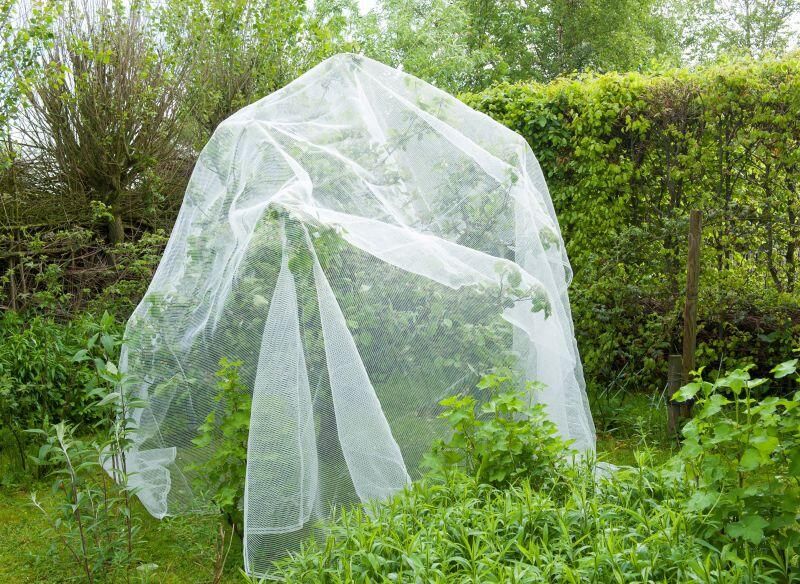 Nature Tuinnet Tegen rupsen 5.2x5m -Kweekbenodigdheden - Foto 2