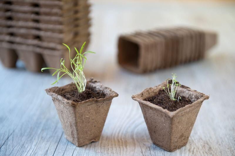 Nature 16x Turfpotjes stekpotjes 6 cm biologisch afbreekbaar Moestuinpotjes Moestuin artikelen