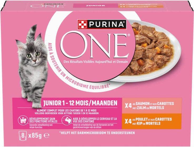 ONE PURINA Junior Kattenvoer Kip Wortel