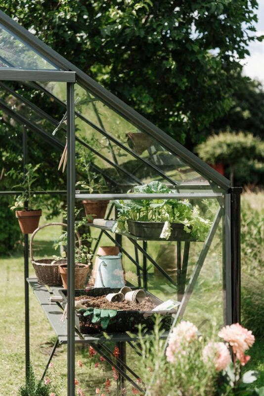 Royal Well Kate I Kweekschap Groen grijs 2 5x22 5x182 cm
