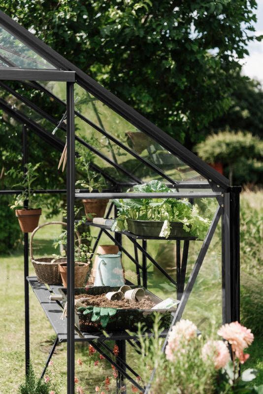 Royal Well Kate IV Kweekschap Zwart 2 5x22 5x364 cm