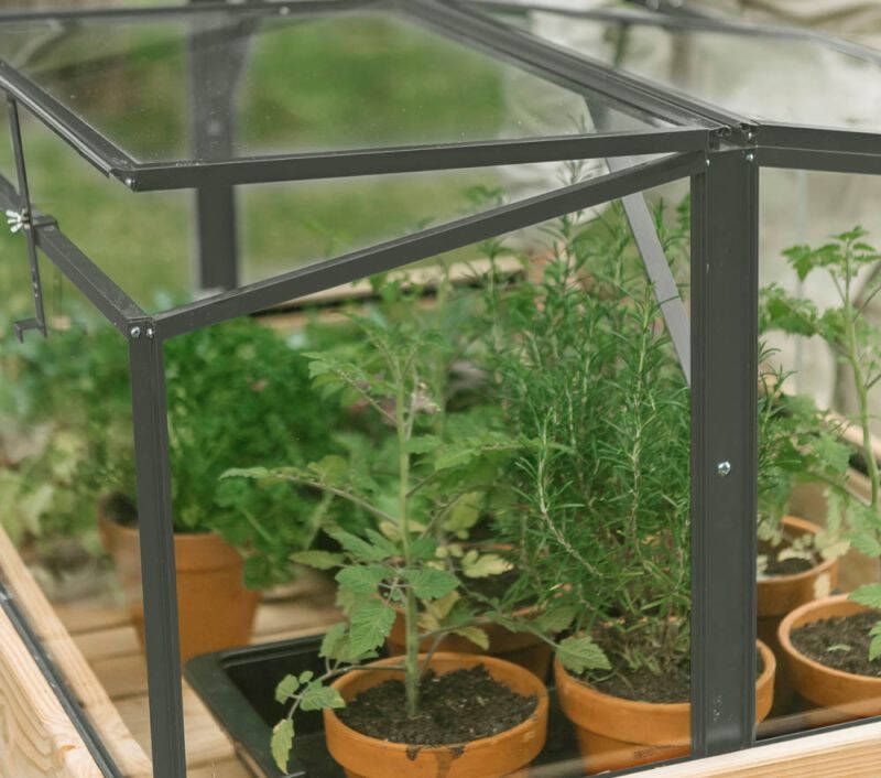 Royal Well Parsly Planter Broeikas Groen 60x80x46 cm Veiligheidsglas