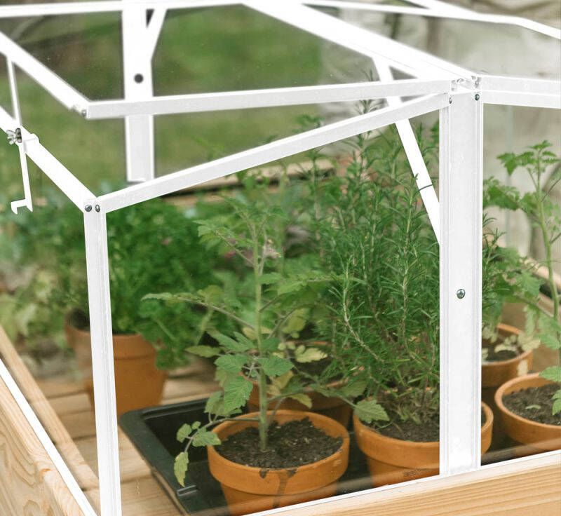 Royal Well Parsly Planter Broeikas Wit 60x80x46 cm Veiligheidsglas
