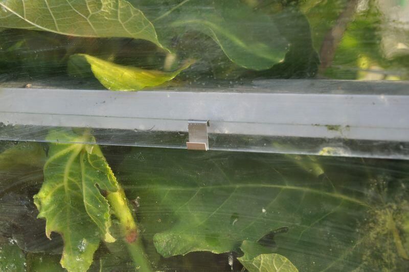 Royal Well Glashaken Kas accessoire Zilver - Foto 2