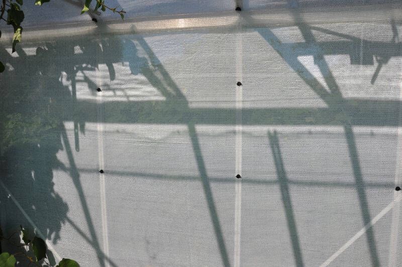Royal Well Schermgaas Kas accessoire 1 8 x 5 meter Wit