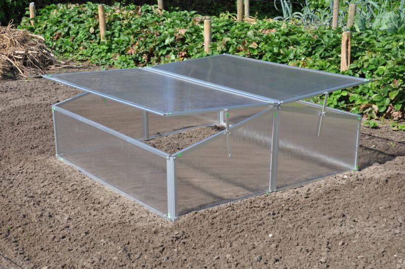 Royal Well Silver Thyme Broeikas Zilver 1 19 m2