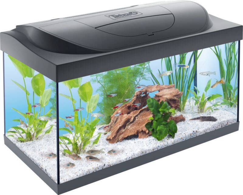 Tetra Aquarium 61x36x32 cm 54 L