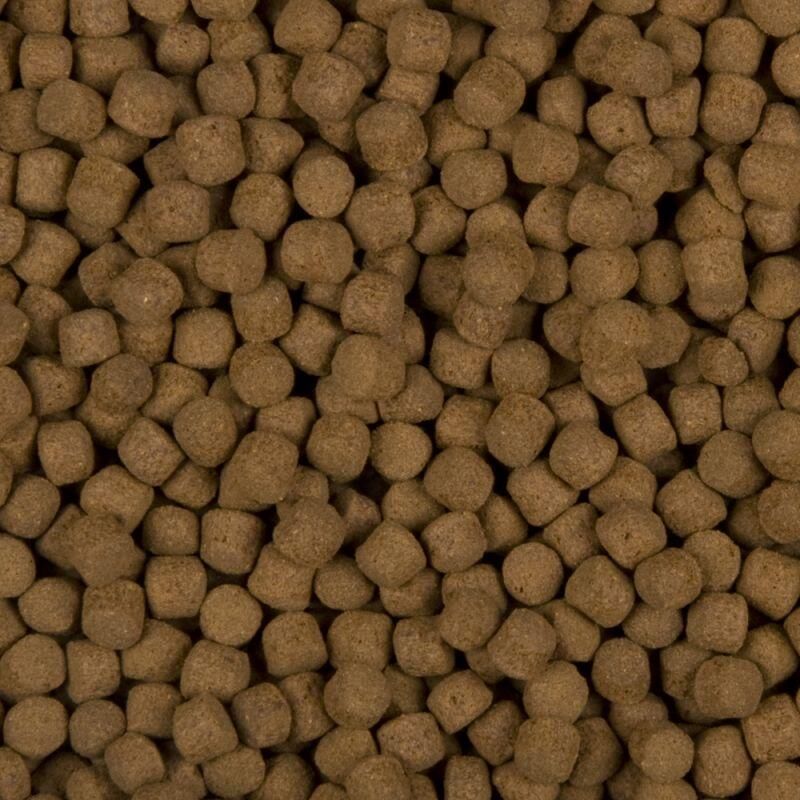 Velda SaniKoi Excellent All-Round 6mm Vijvervissenvoer 6MM 3 L