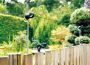 Velda Garden Protector Schrikdraad 40 meter wering honden katten reigers - Thumbnail 2