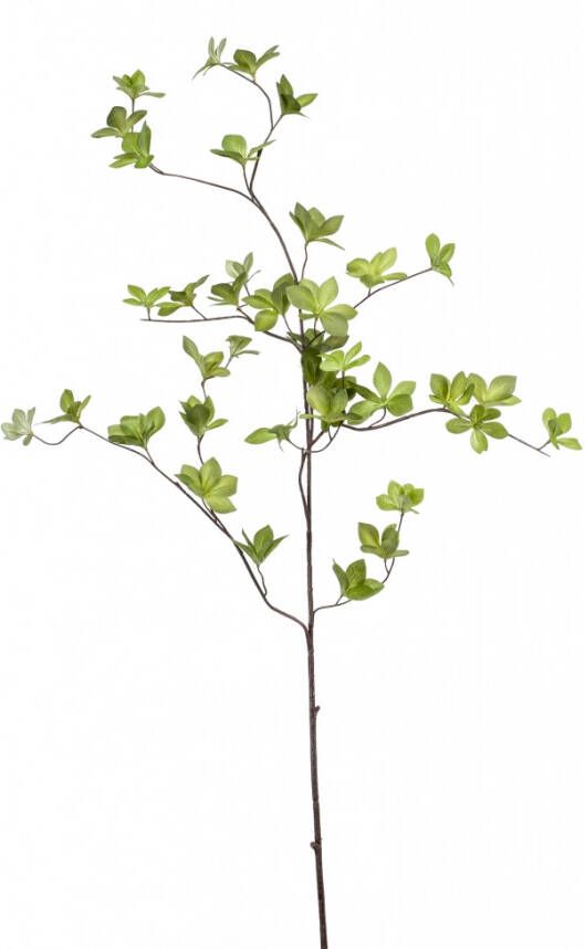 Emerald Kunstbloemen Cornus Bladtak Groen 115 cm 425311