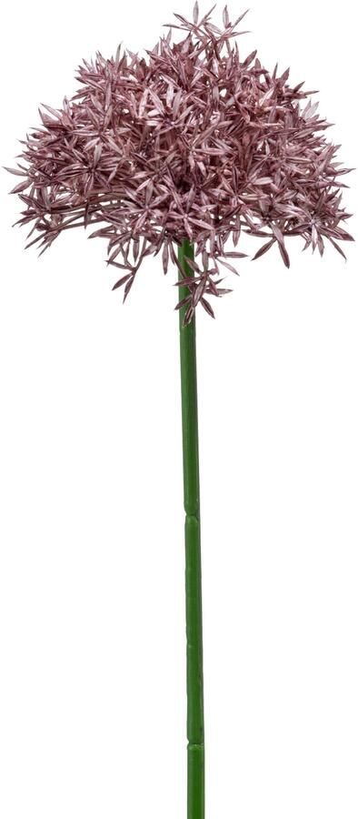 Emerald Allium Sierui kunstbloem losse steel paars 62 cm Natuurlijke uitstraling Kunstbloemen