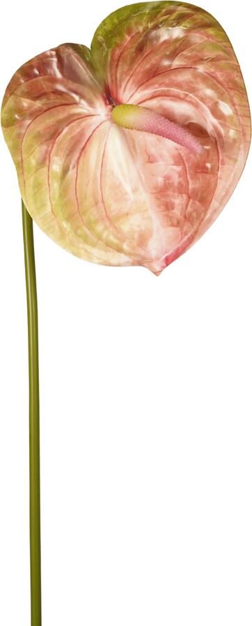 Woonexpress Anthurium Kunstbloem