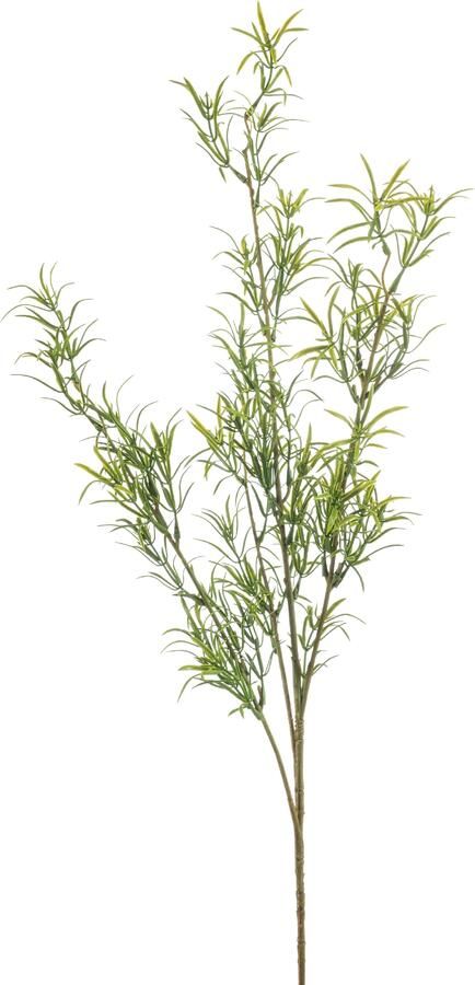 Woonexpress Asparagus Kunsttak