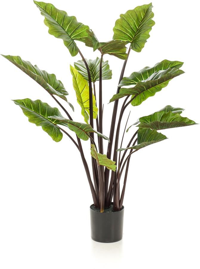 PrettyPlants Kunst Colocasia 130cm Grote Kunstplant voor binnen Nepplant Colocasia