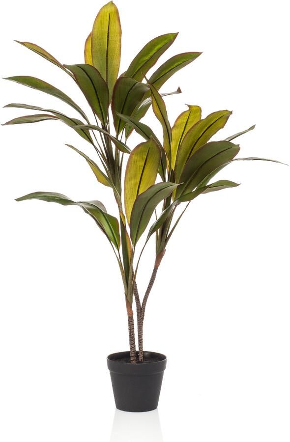 Woonexpress Cordyline Kunstplant