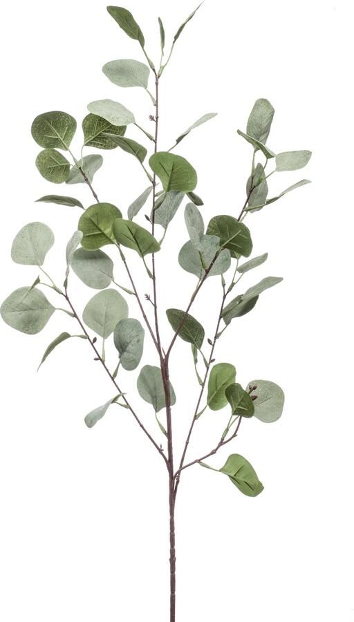 Emerald Kunstbloem Zijdebloem Kunsttak Eucalyptus Tak X4 Grijs Groen 423221