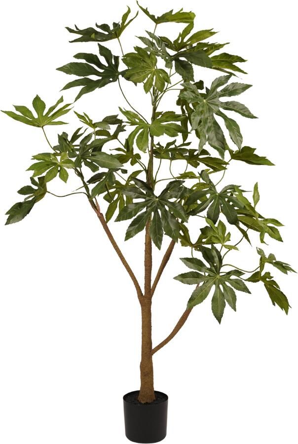 Woonexpress Fatsia Kunstplant