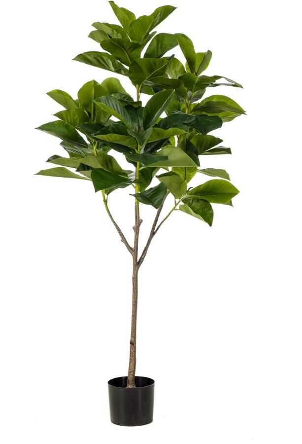 Woonexpress Ficus benghalensis Kunstplant