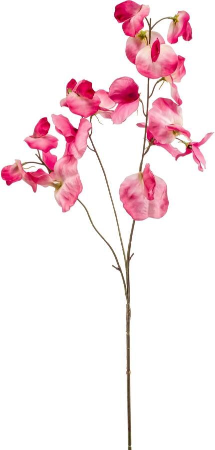 Woonexpress Lathyrus Kunstbloem