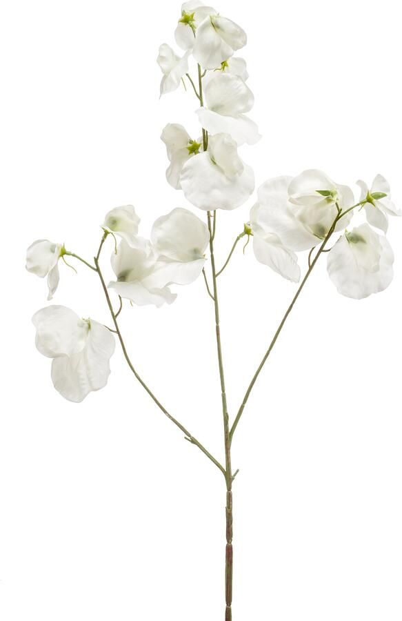 Woonexpress Lathyrus Kunstbloem