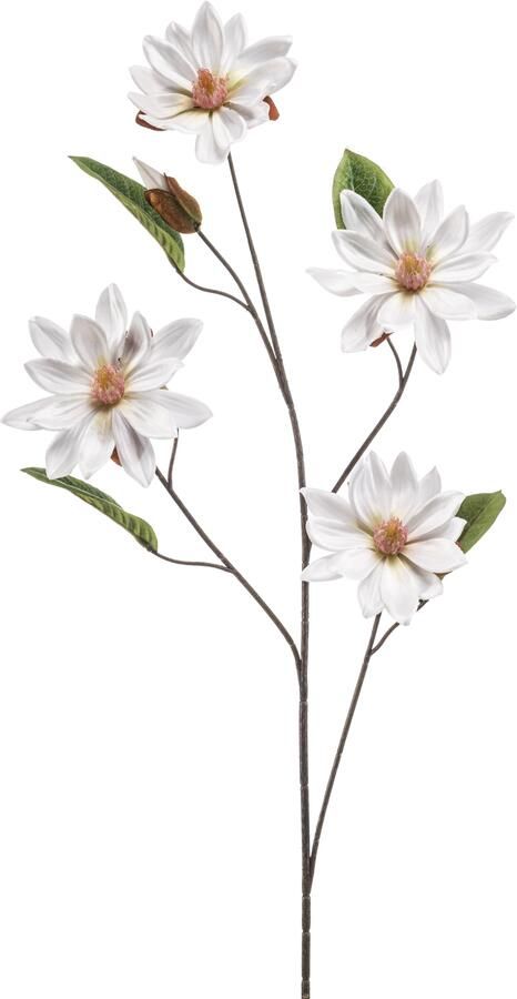Woonexpress Magnolia Kunstbloem