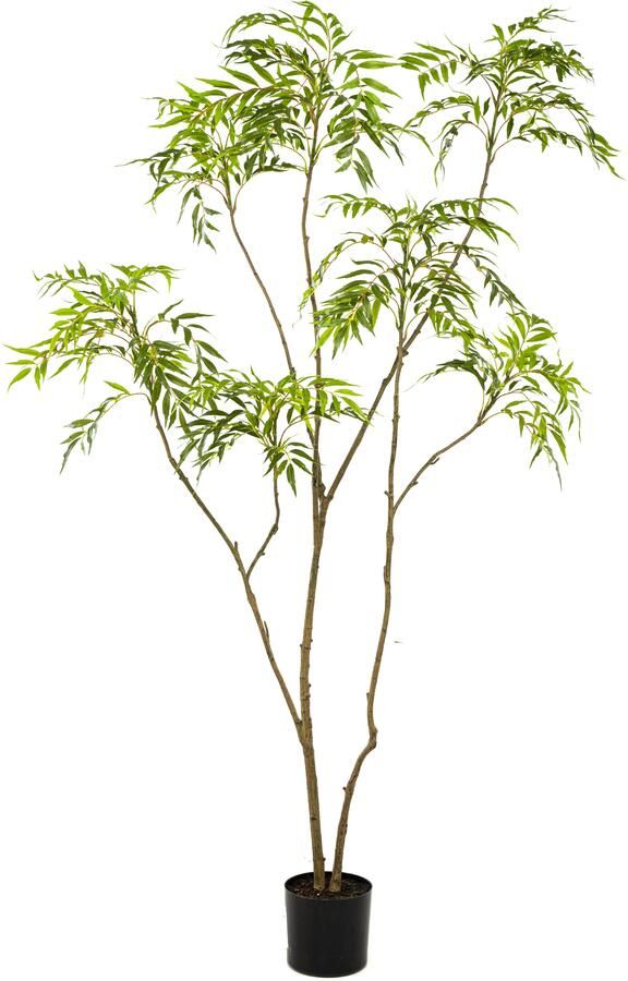 Woonexpress Mahonia forunei Kunstplant