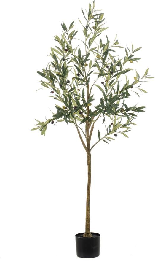 Woonexpress Olive Kunstplant