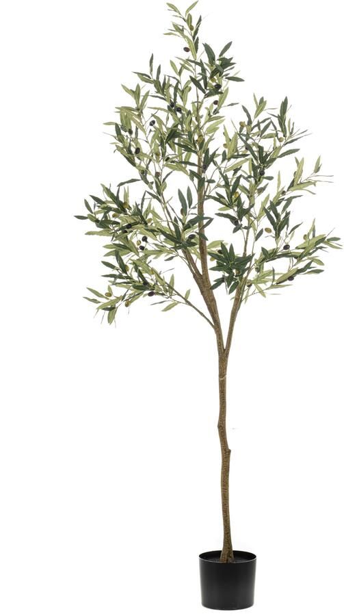 Woonexpress Olive Kunstplant