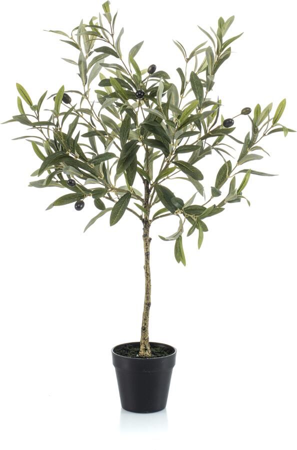 Woonexpress Olive Kunstplant