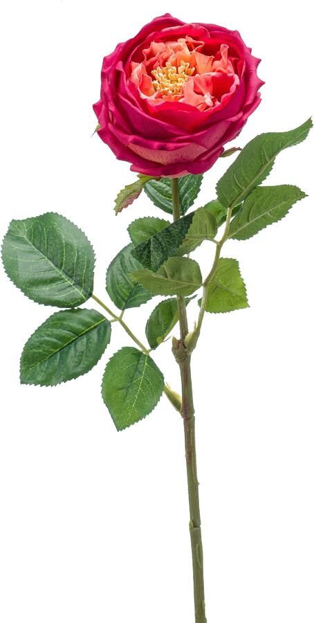 Woonexpress Rose Kunstbloem