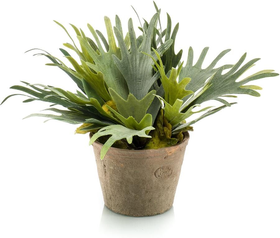 Emerald Kunstplant Staghorn varen groen in grijs betonlook pot 38 cm Kunstplanten